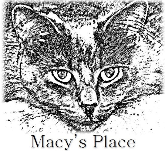 Macy's Place