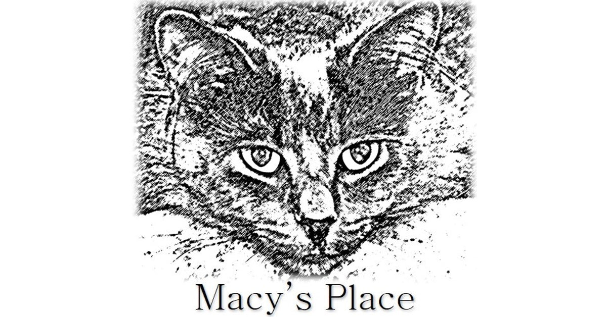 Macy's Place